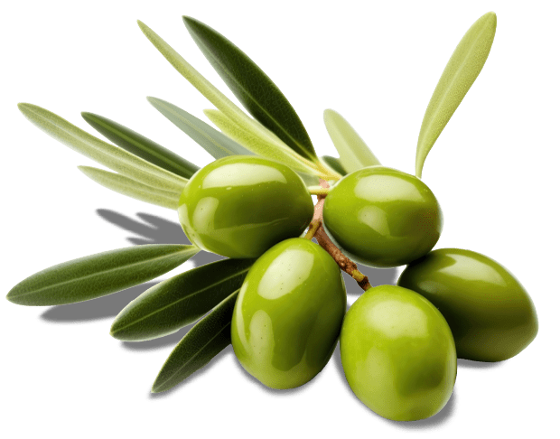 Olives 620x486 1