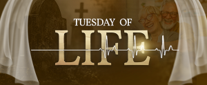 Tuesday of Life web