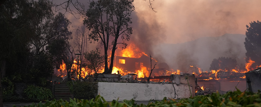 Hollywood celebrities lost their homes as fires devastated Los Angeles